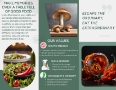 Brochure page 2