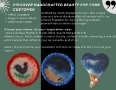 Brochure page 7