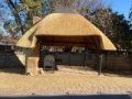 thatch lapa