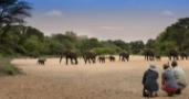 Timbavati Private Nature Reserve