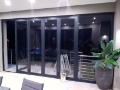 Folding Door