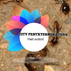 City pestxterminators