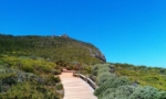 Cape Peninsula Tours