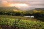Franschhoek Winelands Tour