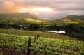Franschhoek Full Day Tour