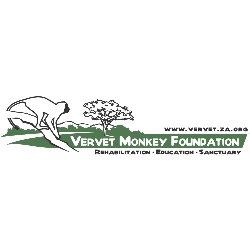 Vervet Monkey Foundation