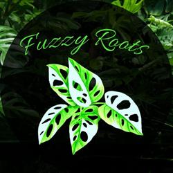 Fuzzy Roots ZA