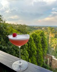 Johannesburg Distilling Company