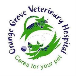 Orange Grove Vet