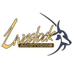 Livestock Auctions