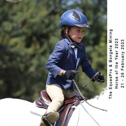 Horse Dynamics cc