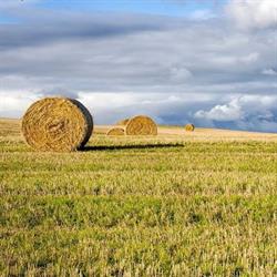 VanBreda Agri