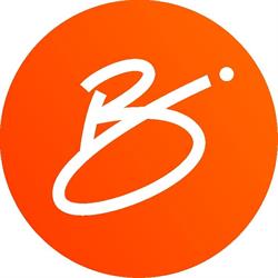 Bsure Insurance Advisors