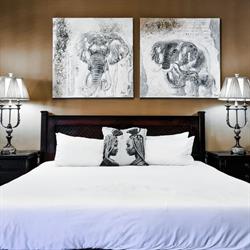 Pinehaven accommodation Bed and Breakfast