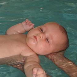 Dolphinarium Swim School