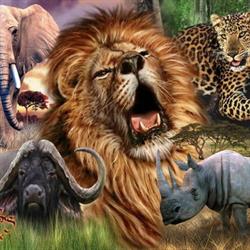 Sizanani Adventures