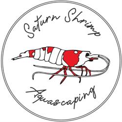 Saturn Shrimp & Aquascaping