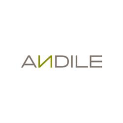 Andile Solutions