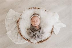 Ross Images Photography