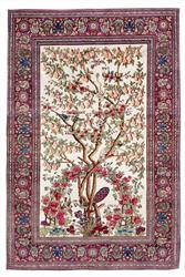 Persian Carpet Man