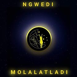 Ngwedi Molalatladi Pty Ltd