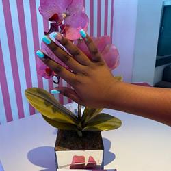 Sass Nail Spa