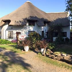 Red Valley B&B
