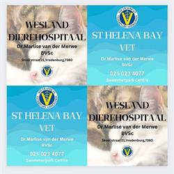 Wesland Dierehospitaal