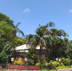 Tropical Nursery and Cafe
