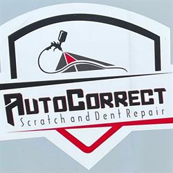 AUTO CORRECT