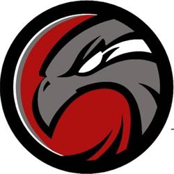 Elite Guarding Services