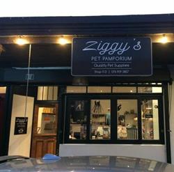Ziggy's Pet Pamporium