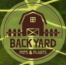 Backyard Pots and Plants