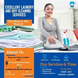 EXCELLENT LAUNDRY AND DRY CLEANING SERVICE - NEW REDRUTH, ALBERTON