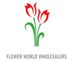 Flower World Wholesalers
