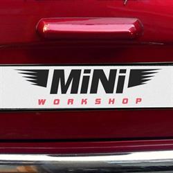 Mini Workshop