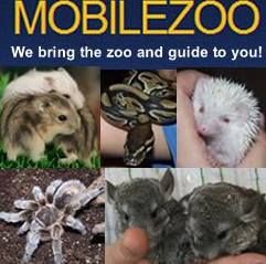 Mobilezoo