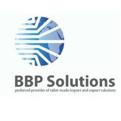 Bokamoso Basechaba Professional Solutions Pty ltd