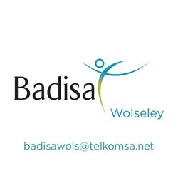 Badisa Wolseley