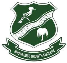 Henley Primary School Trading as Henley High & Preparatory School