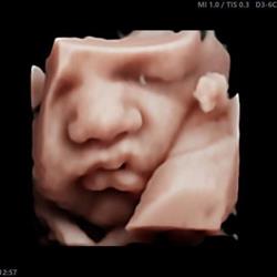 Agape Scan Studio