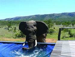 Timeshare Specials
