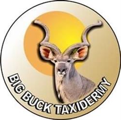 Big Buck Taxidermy CC