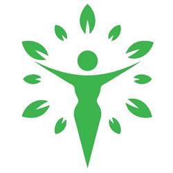 Sina Mosholi Clinical Psychologist