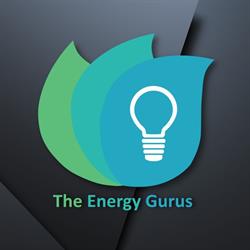 The Energy Gurus