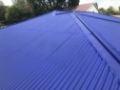 Roof painting