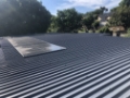 Roof painting and repair
