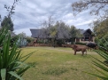 aquila game  reserve