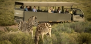 aquila game  reserve