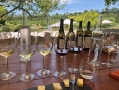 wine